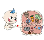 03-01-foetus-food-150px