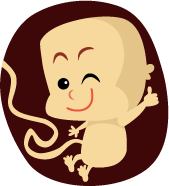 general_wife_waterbag5